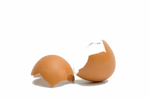 Eierschale