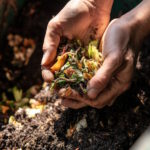 Hands holding compost with worms and organic matter, showing the process of decomposition and gardening.