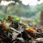 A timelapse image of a compost heap transforming organic waste into nutrientrich soil reflecting the process of sustainable waste management.