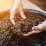 Farmers cultivate earthworms to increase the number of earthworms and make use of soil and earthworm feces to make bio-fertilizers, making agricultural products non-toxic.